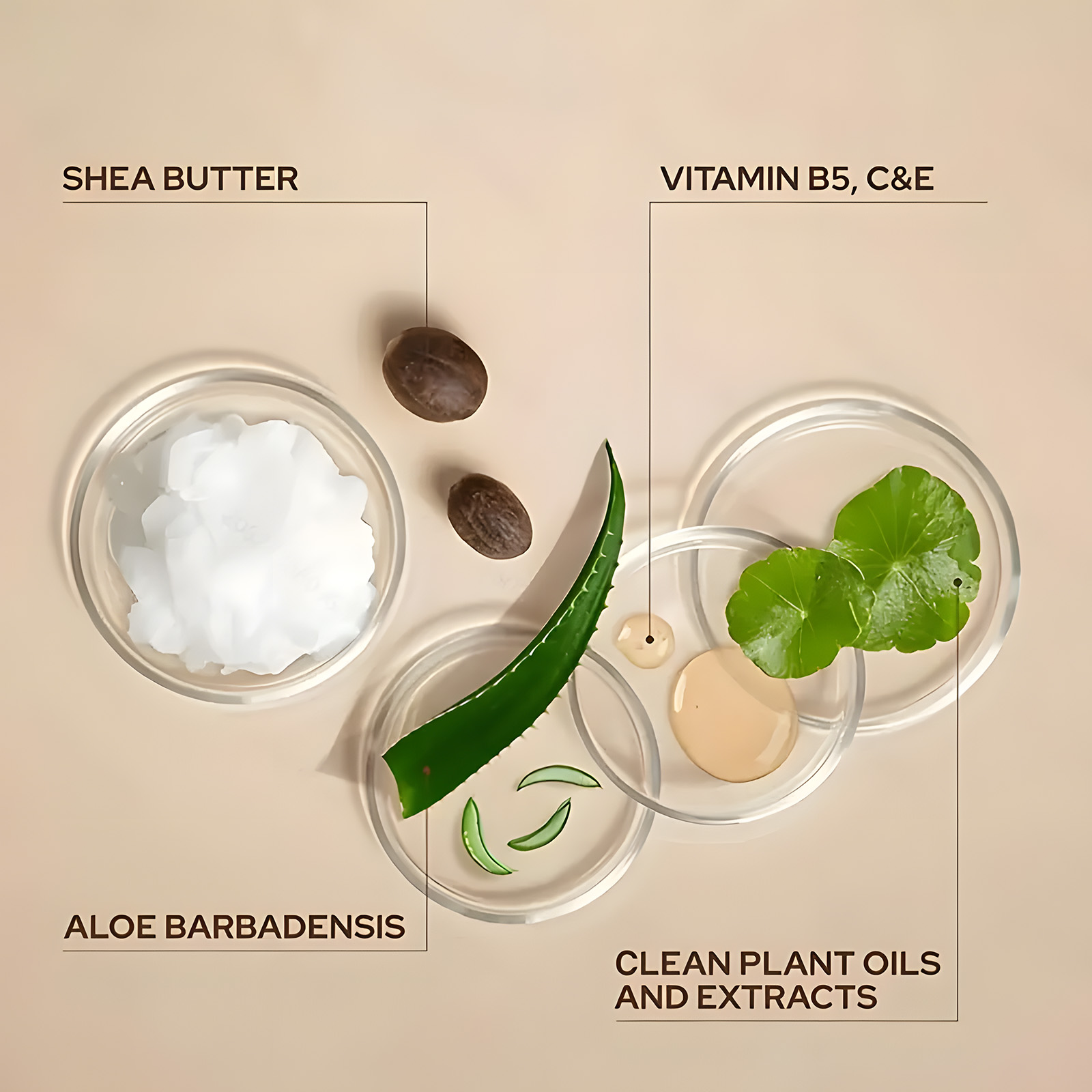 Retinol Face Cream Moisturizin - Skincare Retinol บทวิจารณ์และราคา